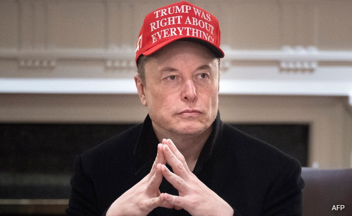A Look At Elon Musks Most Meorable Moments As Trumps Adviser