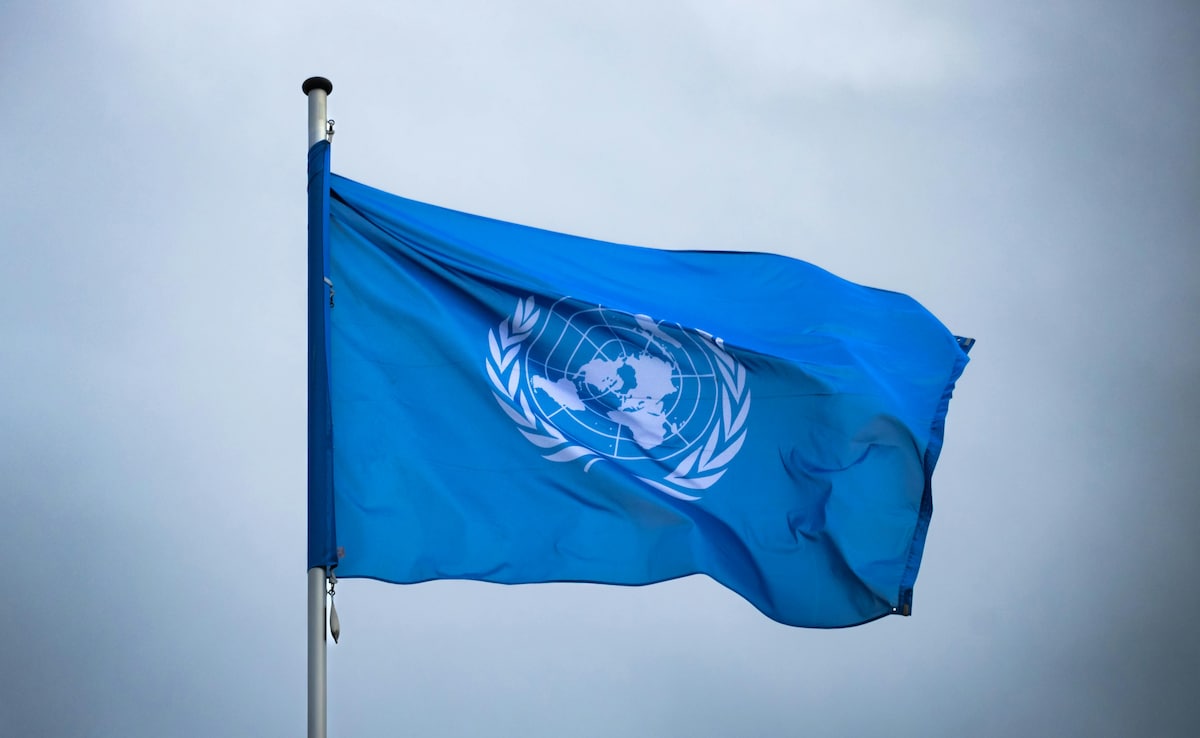 UN Food Programme To Slash Quarter Of Staff As Funding Falls